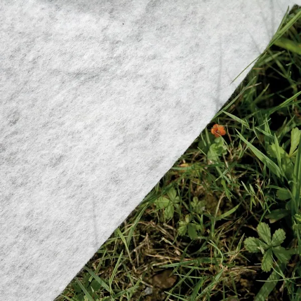 GRE Gré Avantgarde Composiet Zwembad - 466 X 326 X 124 Cm 8 GRE Gré Avantgarde Composiet Zwembad - 466 X 326 X 124 Cm - Afbeelding 6